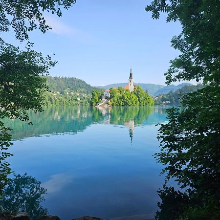 Apartma Jezerci Apartment Bled Bagian luar foto