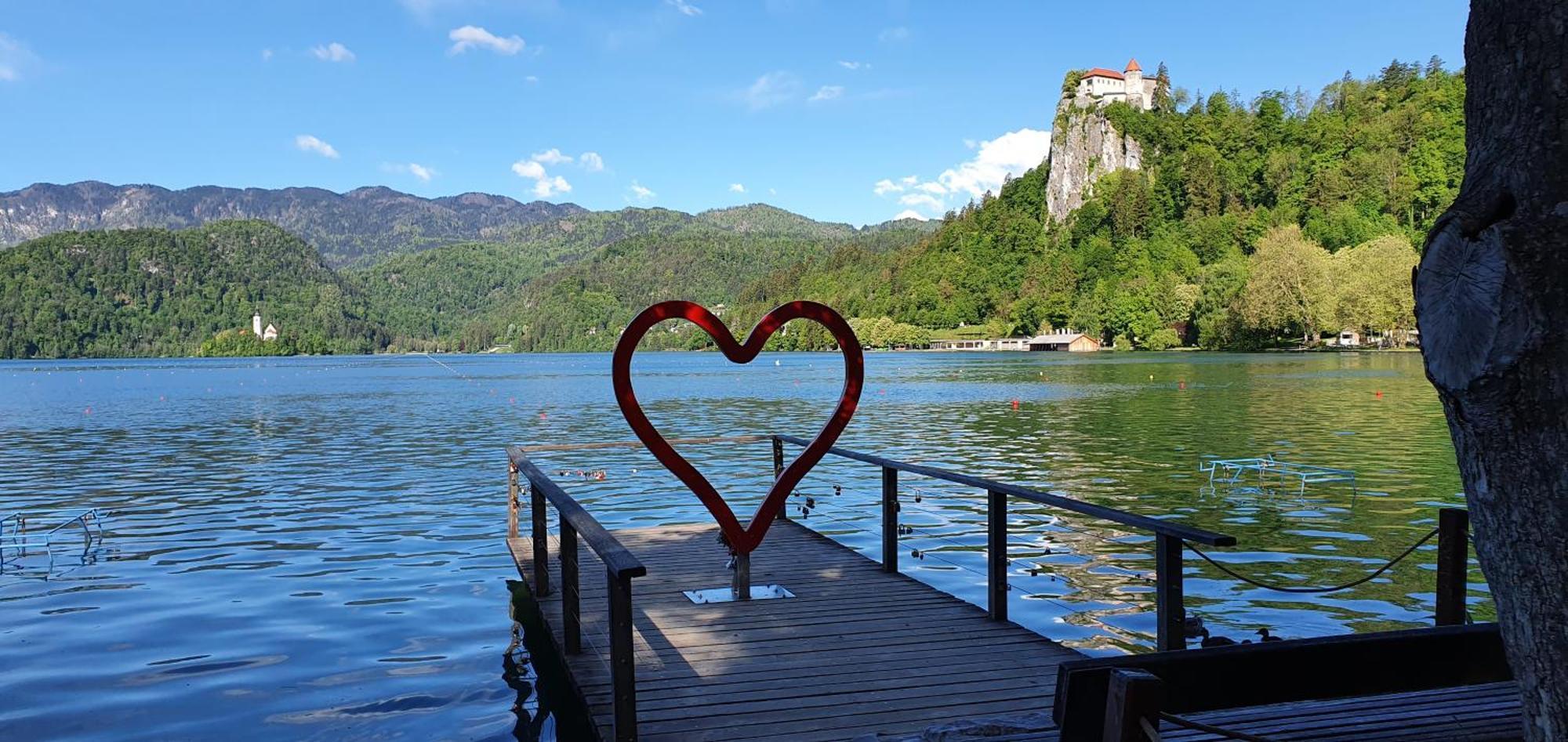 Apartma Jezerci Apartment Bled Ruang foto